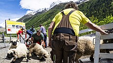 �výca�i evakuují lidi i zví�ata poté, co se v údolí Lötschental sesula masa...