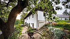 Ji�ní �ást zahrady pod starým jasanem. Zde bude mlatová plocha pro posezení s...