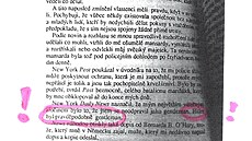 Bájený sbor nahých mu z brnnské sauny v jedné ze svých knih O pravdu?...