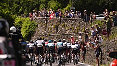 Peloton b�hem 18. etapy italského Gira