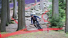 Po�adatelé v novom�stské Vyso�ina Aren� u� mají na víkendový Sv�tový pohár...