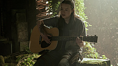 Seril The Last of Us, druh ada