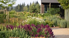 Úsp�ch v sout�i: N�které projekty realizované ve St�edo�eském kraji usp�ly v...