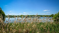 �istá krása: U Lomnice nad Lu�nicí na T�ebo�sku se mohou turisté pokochat v...