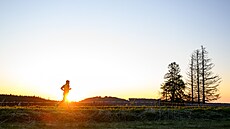 A zájem neklesá. Práv� naopak. (11. kv�tna 2025)