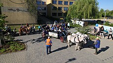 Spolek nmeckých kesan seskupený pod názvem Sdruení mírových zvon...