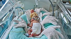  Ve dvou nemocnicích Krajské zdravotní fungují specializovaná perinatologická...