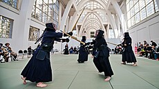 Pokrauje tídenní eský festival japonského komiksu, animovaného filmu a...