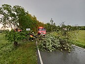 V Královéhradeckém kraji vítr zpsobil popadané stromy a vtve na komunikace a...