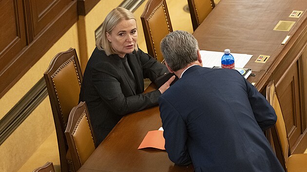 Ve Sn�movn� pokra�uje ��dn� sch�ze, b�hem n� by poslanci m�li schvalovat reformu trestn�ho pr�va a nav��en� finan�n� pomoci pro ob�ti trestn�ch �in�. Na sn�mku ministryn� obrany Jana �ernochov� a ministr Pavel Bla�ek. (30. kv�tna 2025)