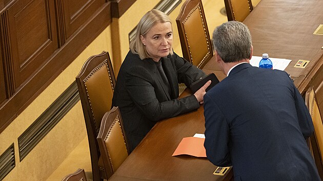 Ve Sn�movn� pokra�uje ��dn� sch�ze, b�hem n� by poslanci m�li schvalovat reformu trestn�ho pr�va a nav��en� finan�n� pomoci pro ob�ti trestn�ch �in�. Na sn�mku ministryn� obrany Jana �ernochov� a ministr Pavel Bla�ek. (30. kv�tna 2025)