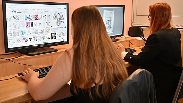Praktick maturita v koncm oboru Podnikn s odbornou specializac provozovn pohebn sluby v Akademii Svtl nad Szavou.