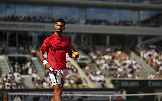 Novak Djokovi se chystá na servis v utkání s Cameronem Norriem.