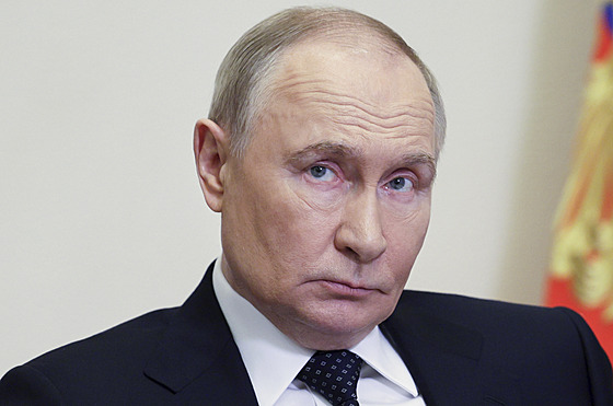 Ruský prezident Vladimir Putin pedsedá setkání se leny vlády prostednictvím...