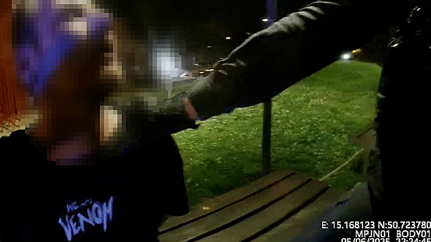 VIDEO: Napal mi jednu, dělej! Vyzýval opilý rváč strážníka, skončil v poutech