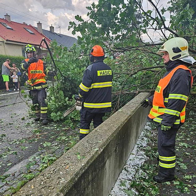V prudké bouřce spadla na dvě děti větev, hasiči museli ukončit tábor