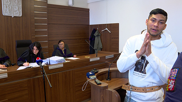 Kolumbijec si za žhářský útok na dopravní podnik odsedí osm let. Soud ho vyhostil