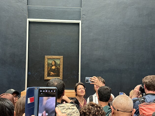 Dav u dla Mona Lisa v muzeu umn Louvre v Pai