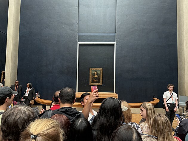 Dav u dla Mona Lisa v muzeu umn Louvre v Pai