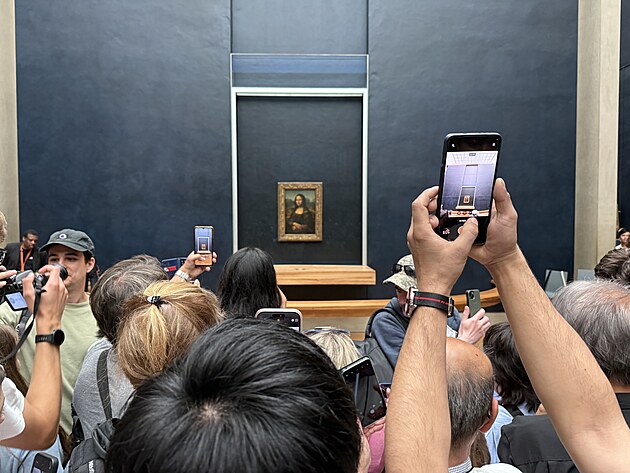 Dav u dla Mona Lisa v muzeu umn Louvre v Pai