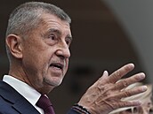 Pedseda opoziního hnutí ANO Andrej Babi ve Snmovn (5. ervna 2025)
