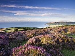 Také Exmoor le�í na hranicích Somersetu a Devonu, ale jeho klima u� je více...