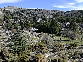 Na svahy hory Sierra de las Nieves si místní chodili pro led i v lét� je�t�...