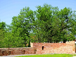 St�edov�ké pevnosti p�edcházel �ímský vojenský tábor Cuccium. Z n�j ale bohu�el...