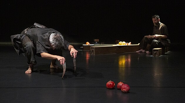 Pohyb, kter mluv beze slov, pedstav ve e francouzsk choreografka a performerka Camille Mutel.