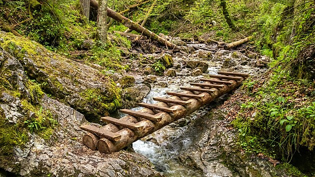 Slovensk� r�j