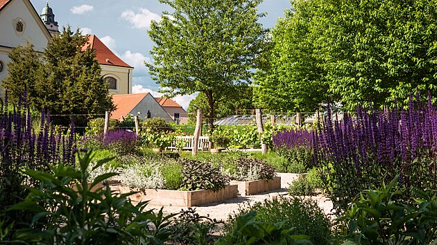 Bylinkov zahrada Lu & Tiree Chmelar ve Valticch (prodn zahrada)