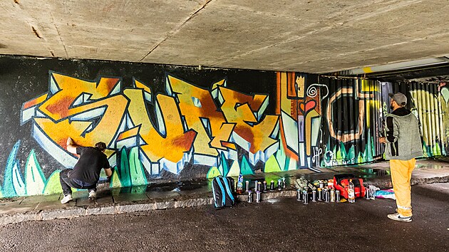 Streetartov Festival Spray n chill u Labskho mostu v Hradci Krlov (7.6.2025).