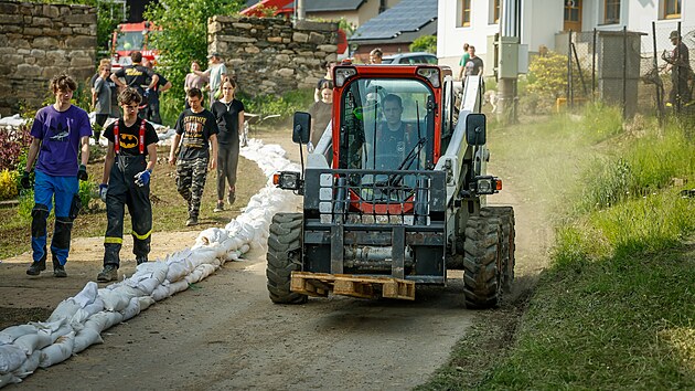Daleice v Libereckm kraji bojuj s bahenn kalamitou. (3. ervna 2025)