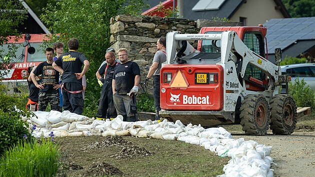 Daleice v Libereckm kraji bojuj s bahenn kalamitou. (3. ervna 2025)