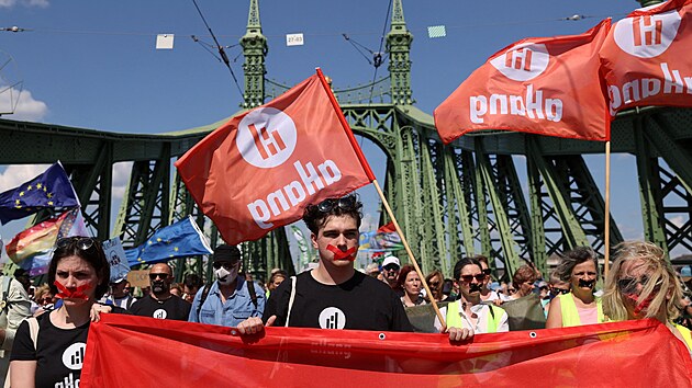 Tisce Maar protestovaly proti nvrhu zkona o zahraninch financch. (1. ervna 2025)