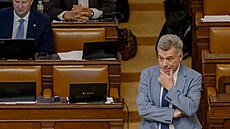 Ministr spravedlnosti Pavel Bla�ek, který se chystá opustit svou funkci,...