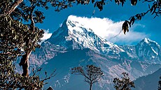 Himálajská osmitisícovka Annapurna (v pekladu ze sanskrtu Bohyn sklizn) má...