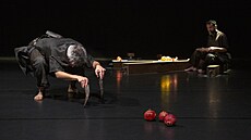 Pohyb, který mluví beze slov, pedstaví ve áe francouzská choreografka a...