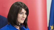 Politika Jana Maláová, pedsedkyn SOCDEM, bývalá ministryn práce a...