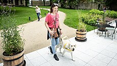 eský ampionát vodicích ps se letos poprvé uskutení v areálu libereckého...