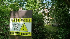 Pozemek u polorozpadlého objektu, který radnice získala od státu, aktuáln...