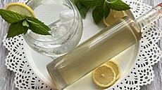 Medu�kovo-m�tov� sirup podle Evy Tomi�kov�