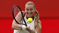 Petra Kvitová na turnaji v Londýn