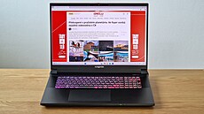 Eurocom Raptor X18
