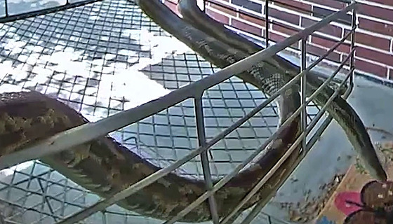 Ann pilo upozornní od spolenosti, která se zabývá bezpenostními kamerami,...