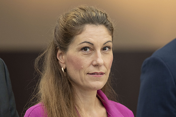 Tisková konference ministryn� spravedlnosti E. Decroix a nám�stk� K. Dvo�áka a...