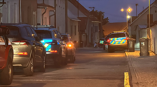 Policisté obvinili podezřelého z vraždy v Kostelci, hrozí mu výjimečný trest