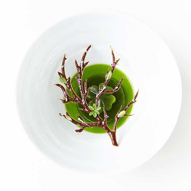 Skandinávská gastronomie zažívá boom, Michelin ocenil téměř sto podniků