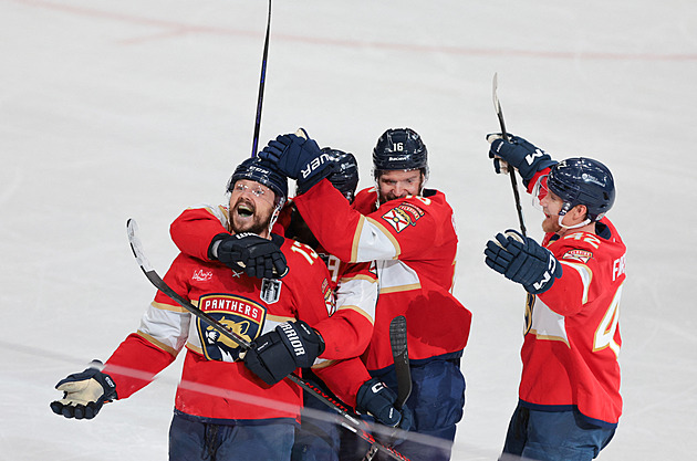 Natržený vaz, sval či dlaň. A jedna zlomená ruka navrch. I tak hokejisté hráli finále NHL