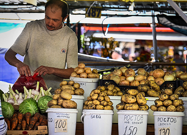 Okurky v Rusku zdražily na trojnásobek. Asi jsou ze zlata, neskrývají lidé frustraci